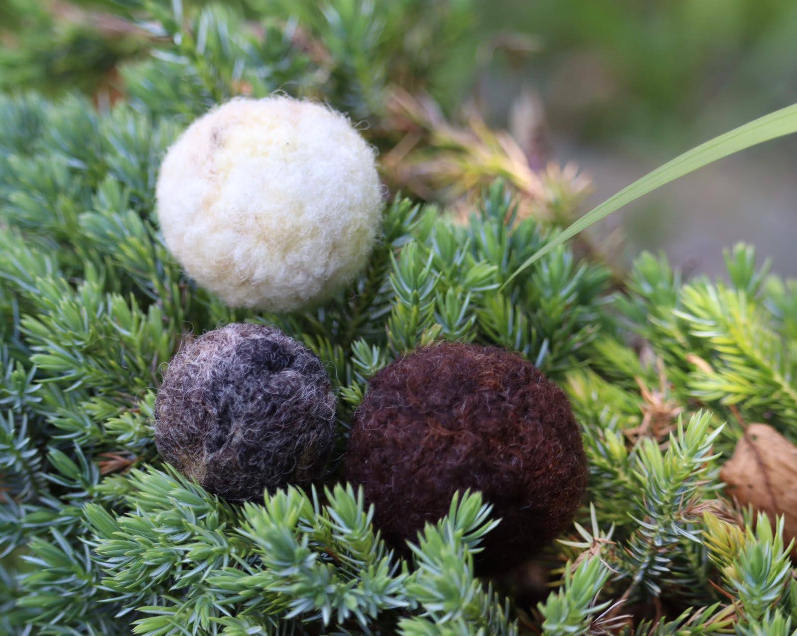 British Felting Core Wool - Natural Colours - Image 3