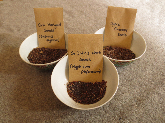 Organic Dye Plant Seeds - Image 9