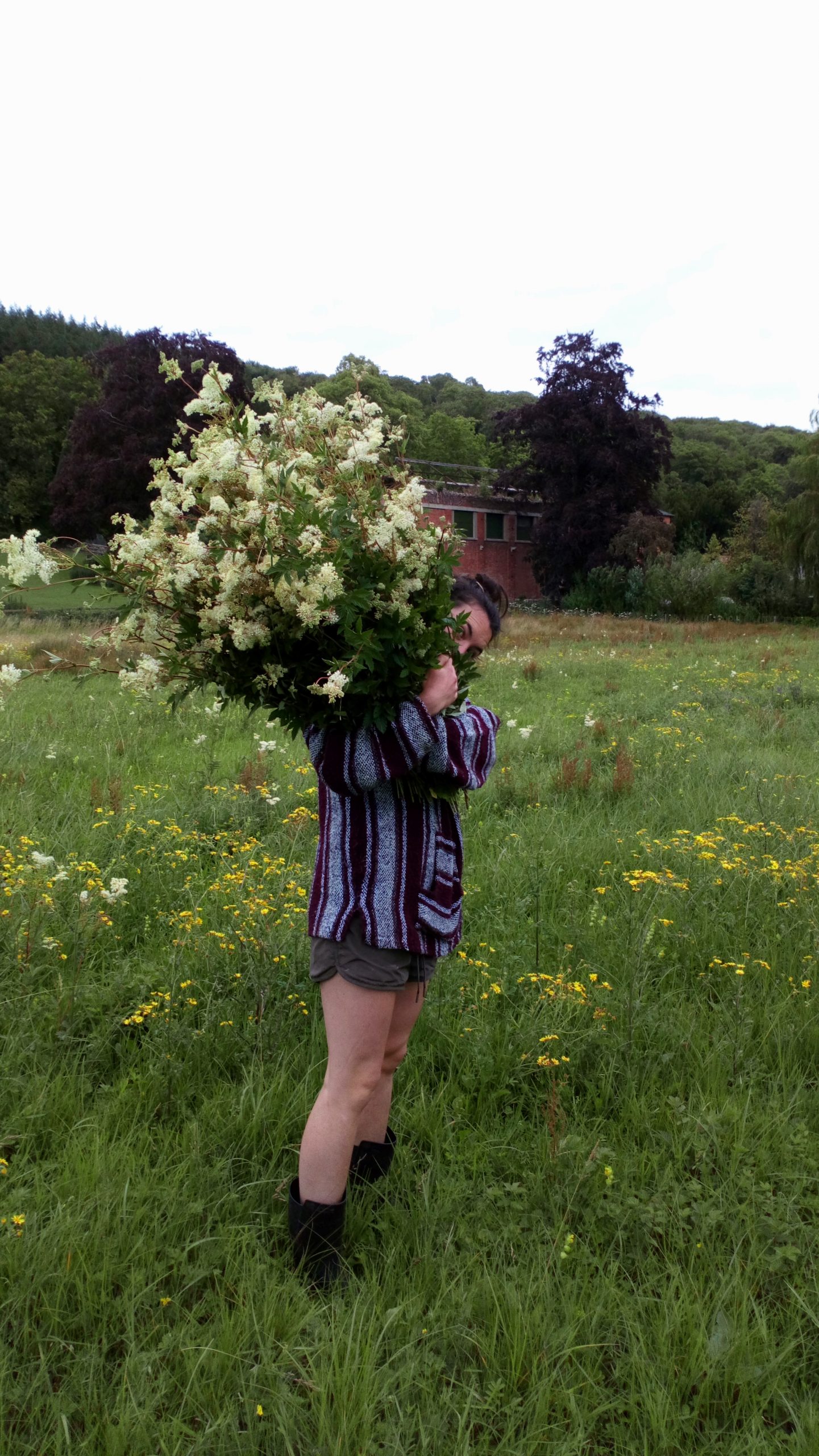 Natural Dyestuffs - Organic, Sustainably Harvested and UK Grown Dyes - Image 13