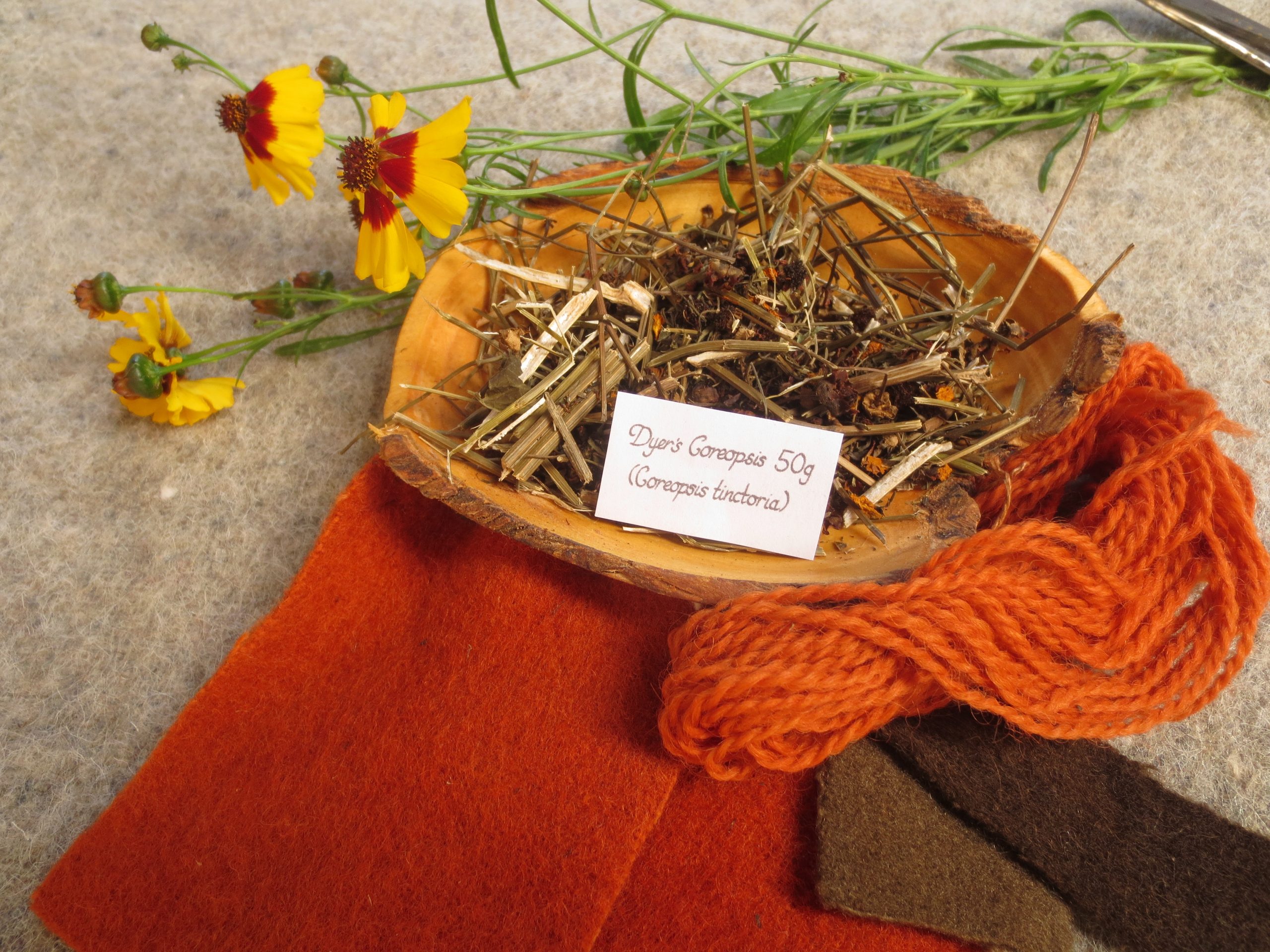 Bowl of dried Coreopsis and orange and brown wool samples