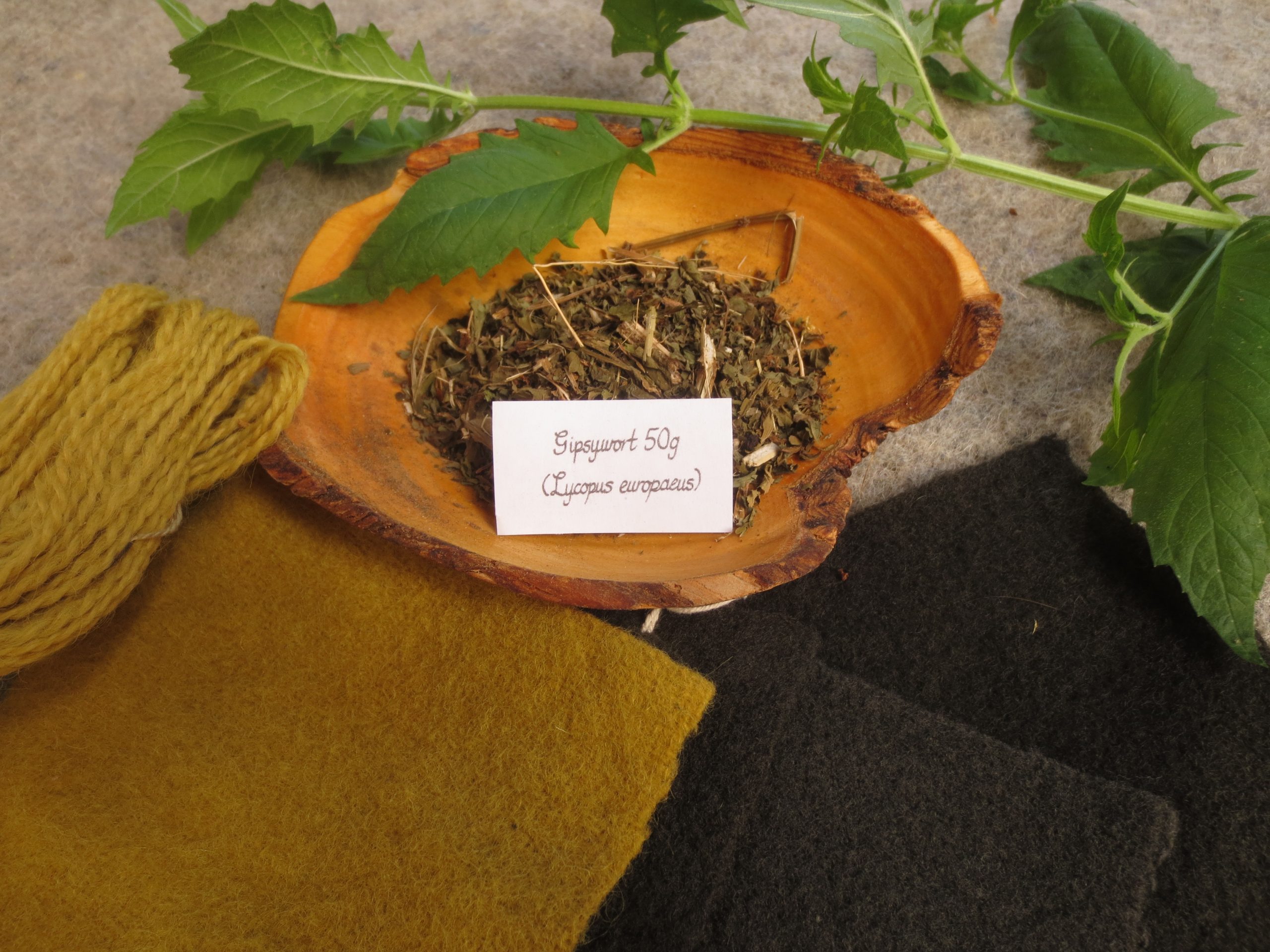 Bowl of dried gipsywort and samples mustard, grey and black