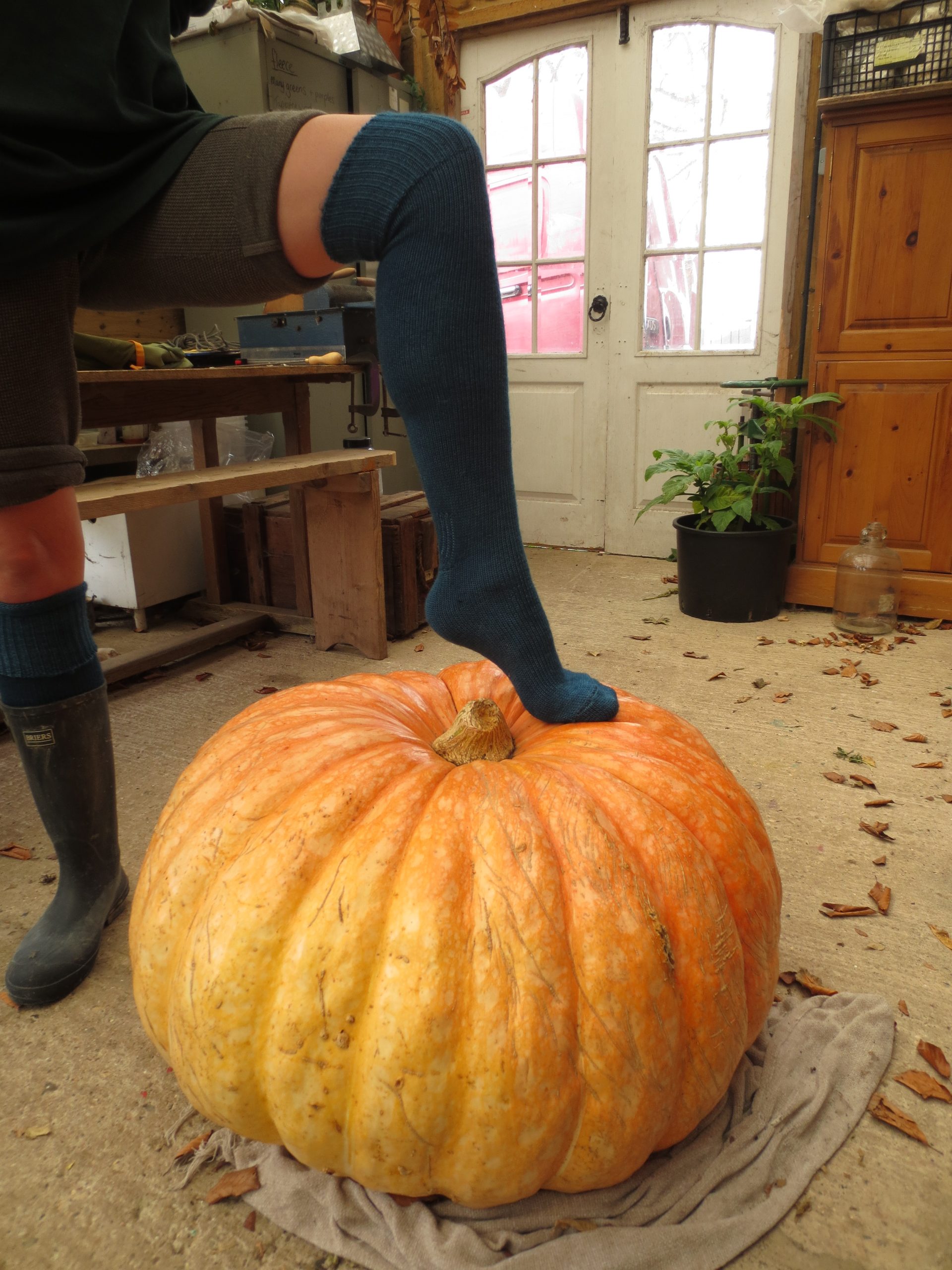 Size 8-10 Welly Boot Socks, plant dyed and made from British wool - Image 2