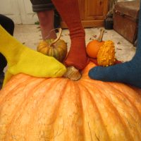 Size 8-10 Welly Boot Socks, plant dyed and made from British wool