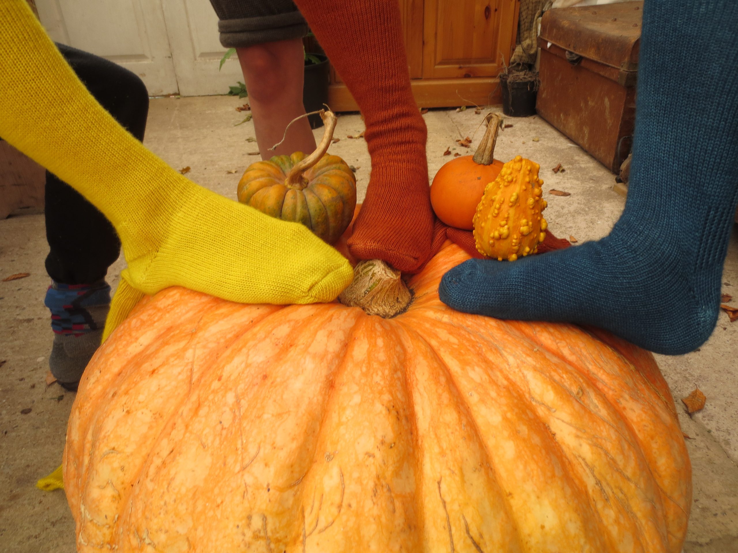 Size 8-10 Welly Boot Socks, plant dyed and made from British wool