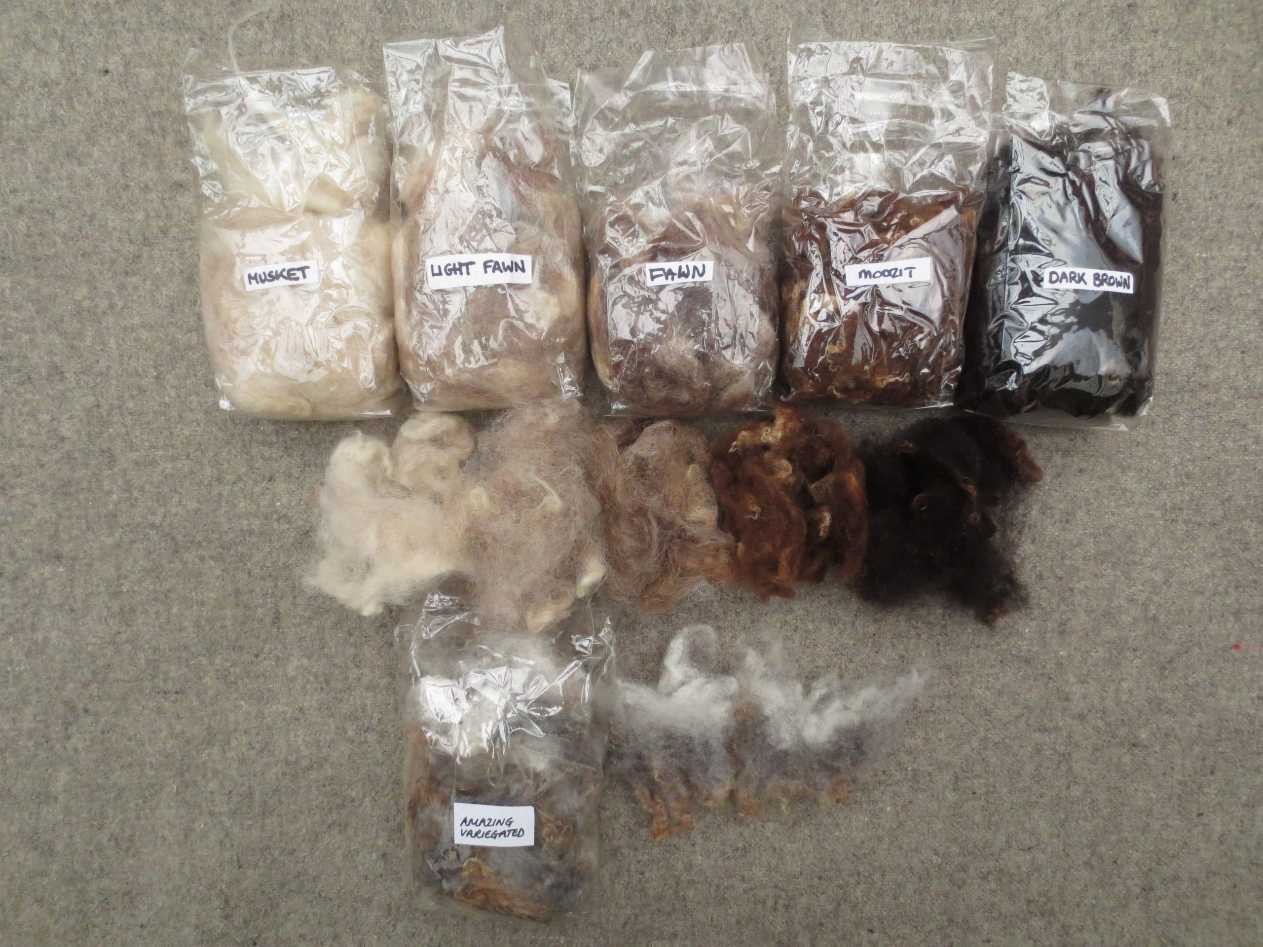 6 bags of fleece labelled Musket, Light Fawn, Fawn, Moorit, Dark Brown and Amazing Variegated