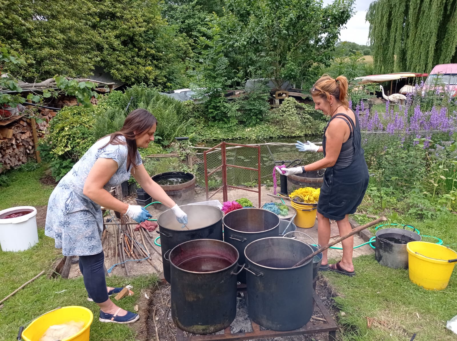 Introduction to Natural Dyeing and Wool Processing Workshop - Image 3