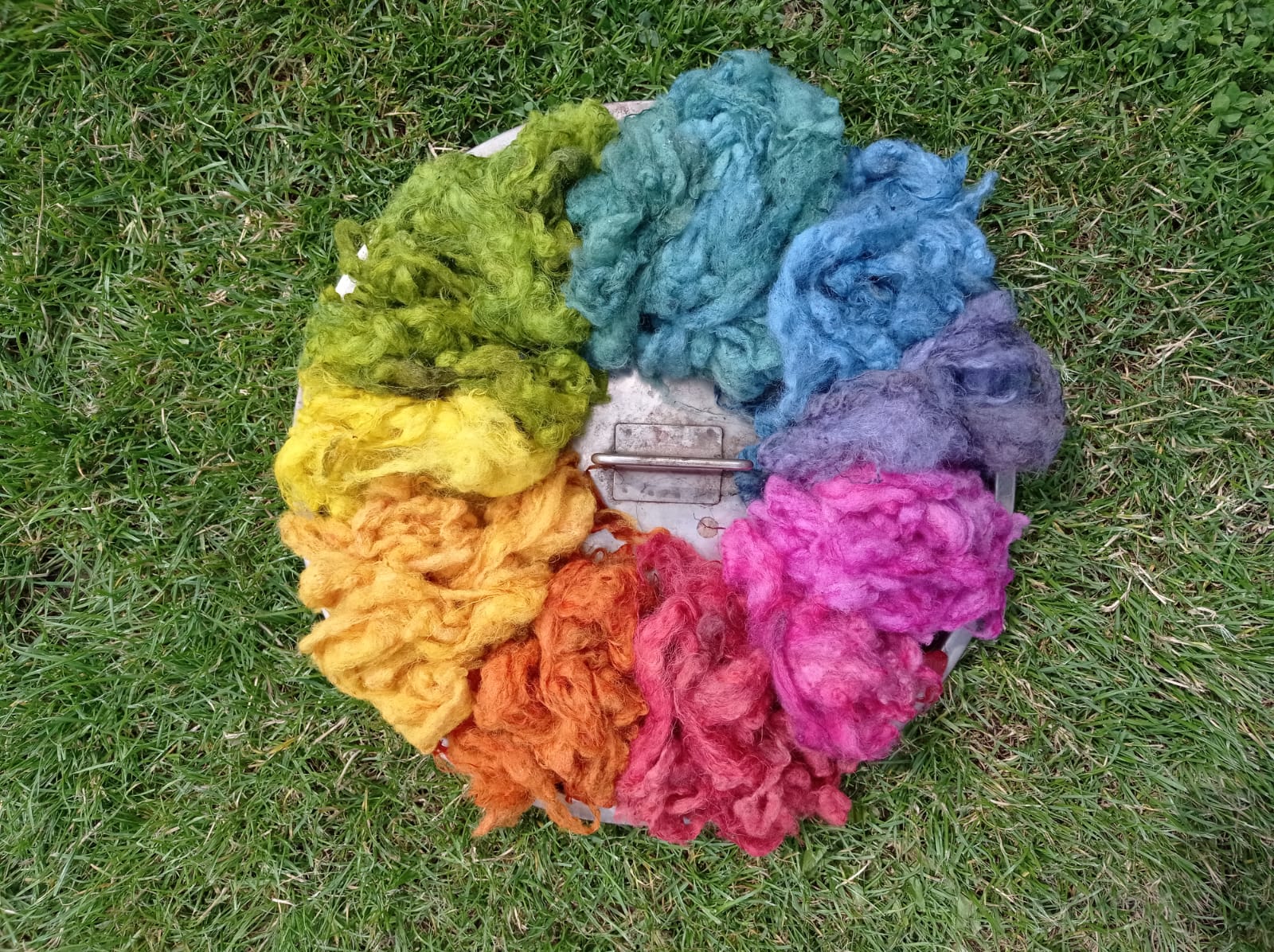 Introduction to Natural Dyeing and Wool Processing Workshop - Image 2