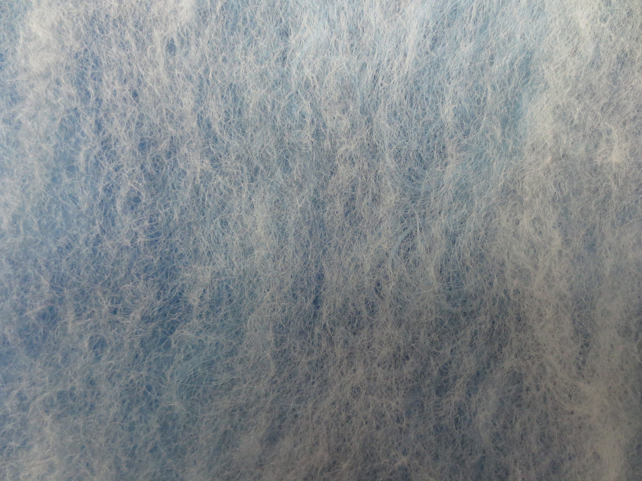 Close up of Cerulean Sea batt showing white shearling fleece uppermost