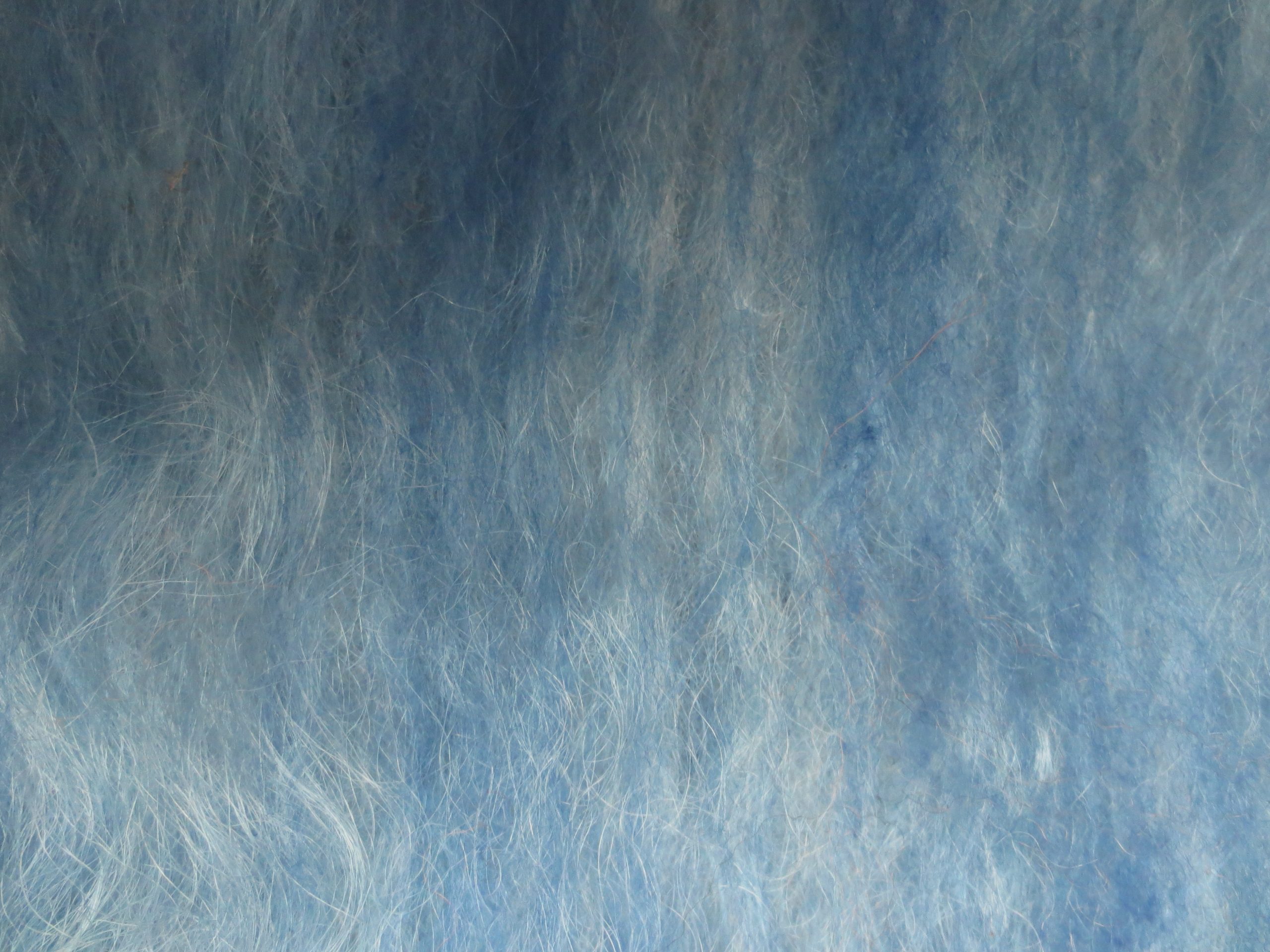 Close up of Cerulean Sea batt showing Blacknose Valais fleece uppermost